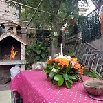 Old Town Sole Daire
