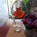 Old Town Sole Daire Split