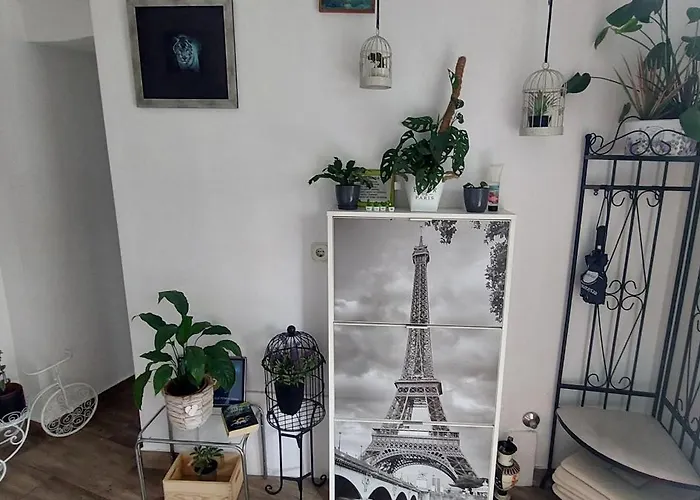 Old Town Sole Daire *