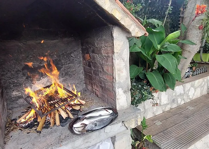 Old Town Sole Daire *